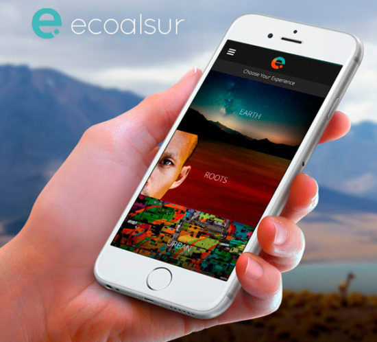 ecoalsur_intro_caso